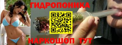гидра Ярцево