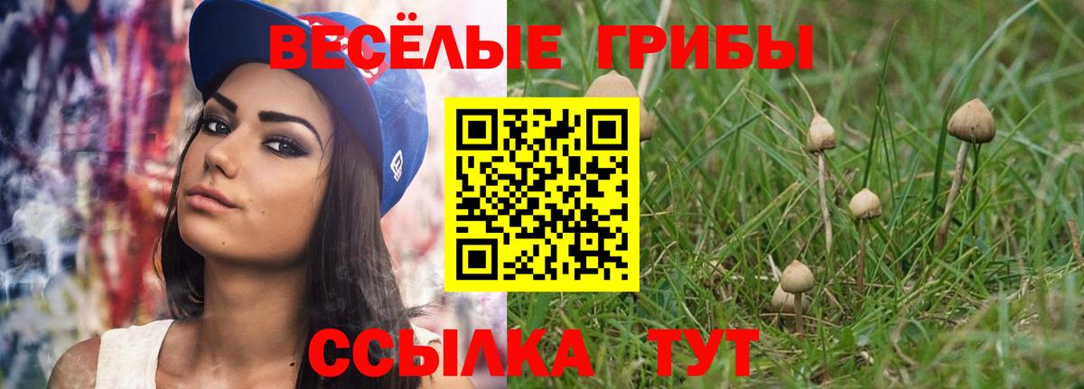 Галлюциногенные грибы Cubensis  Вход с VPN  Бузулук 